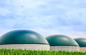 Maruti Suzuki plans to set up biogas plants across its facilities ...